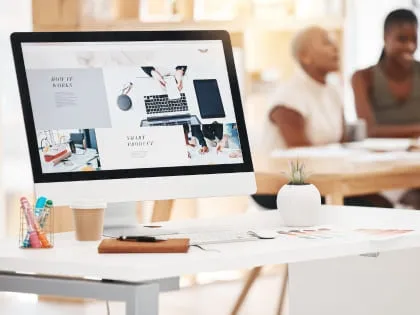 Website & System Development